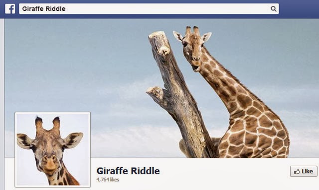 Giraffe Riddle on Facebook