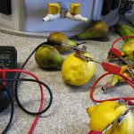 Investigatory-Project-Fruit-Battery