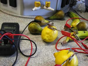 Investigatory-Project-Fruit-Battery