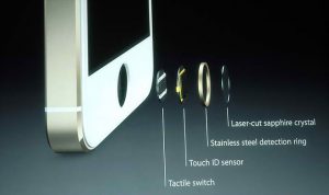 iPhone-5S-TouchID-Finger-Print-Sensor-Diagram