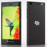 Blackberry-Leap-1