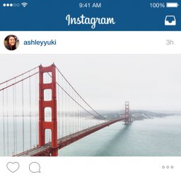 Instagram-landscape-support