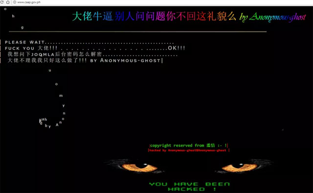 Screenshot of the hacked CAAP website.