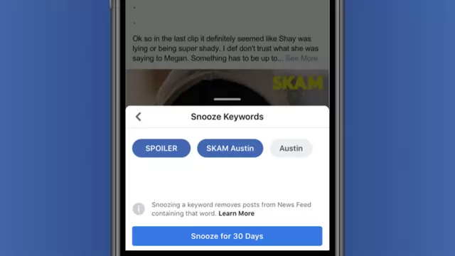 Keyword Snooze selects words and phrases to snooze in a post.