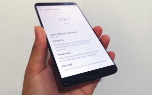 Huawei Mate 10 software update.