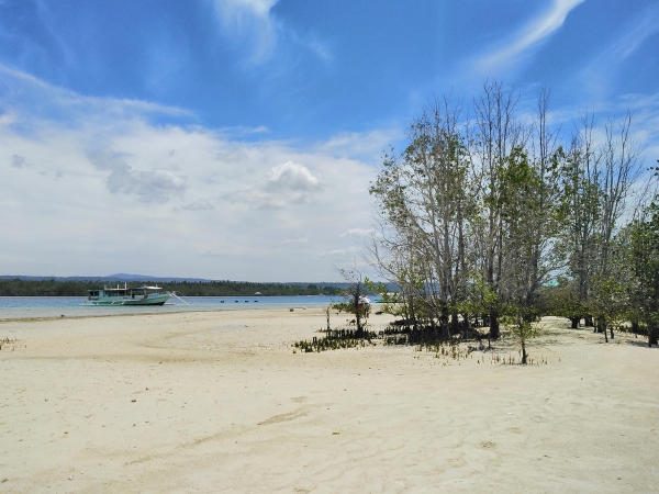 Vanishing Island captured on the Huawei Y7 Pro 2019.