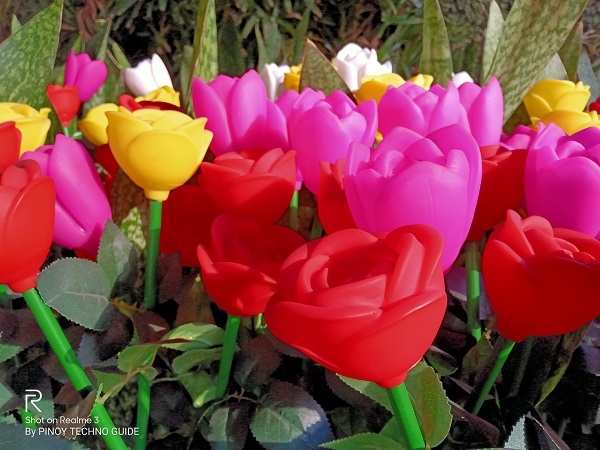 The LED flowers featured above in daylight shot with the Realme 3's Chroma Boost effect.