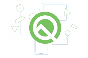 Android 10 Q Beta logo.