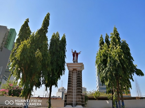 Huawei P30 Lite sample picture with trees and blue sky.