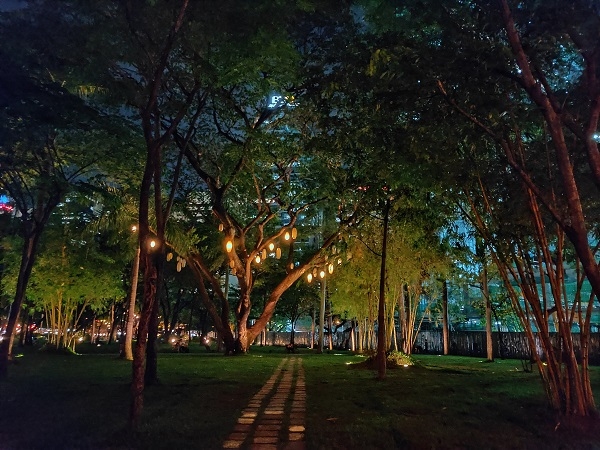 Realme 3 Pro sample picture WITH Nightscape mode.