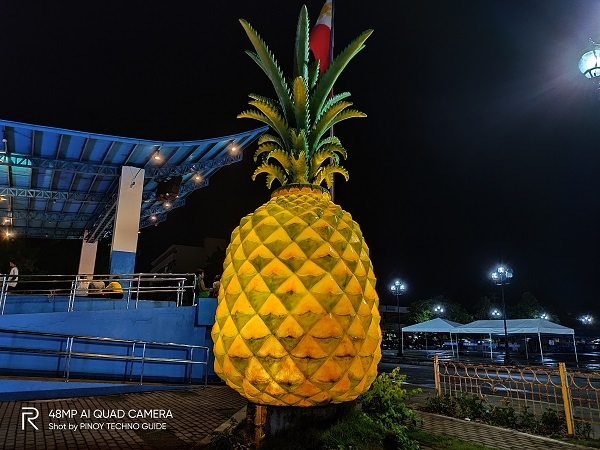 Pineapple statue by Realme 5 Pro with Nightscape mode.