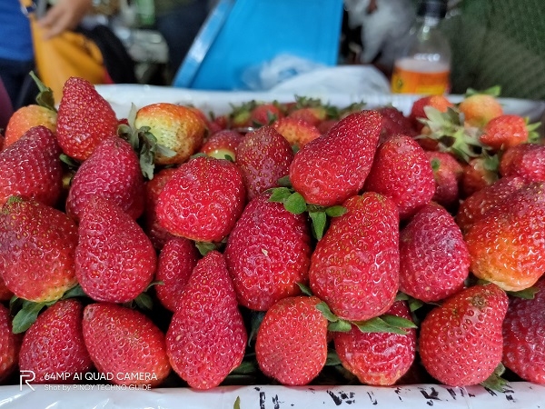 Strawberries by Realme XT