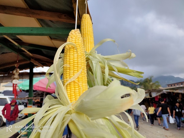 Sweet Corn by Realme XT