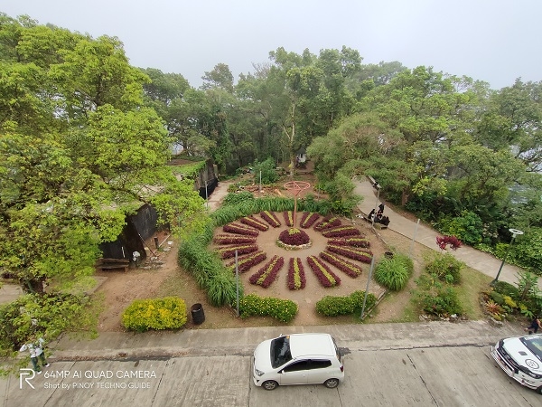 Garden in ultra-wide and chroma boost by Realme XT