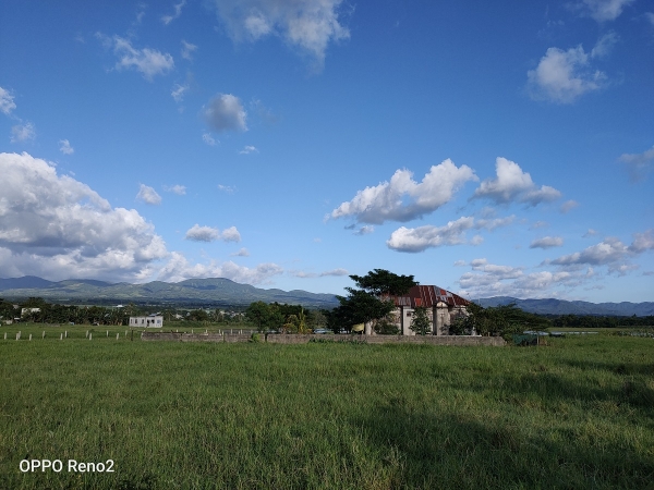 OPPO Reno2 sample picture with 1x or no zoom.