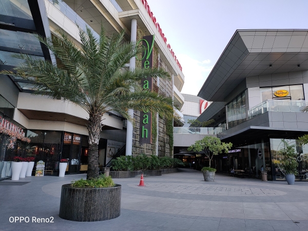 OPPO Reno2 sample picture of a palm in front of a mall.