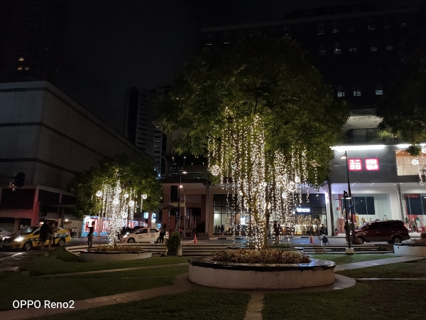 Tree with lights by OPPO Reno2.