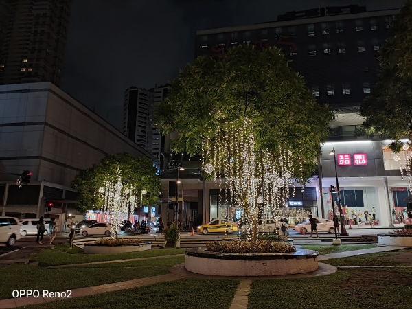 Tree with lights by OPPO Reno2 with Night mode.