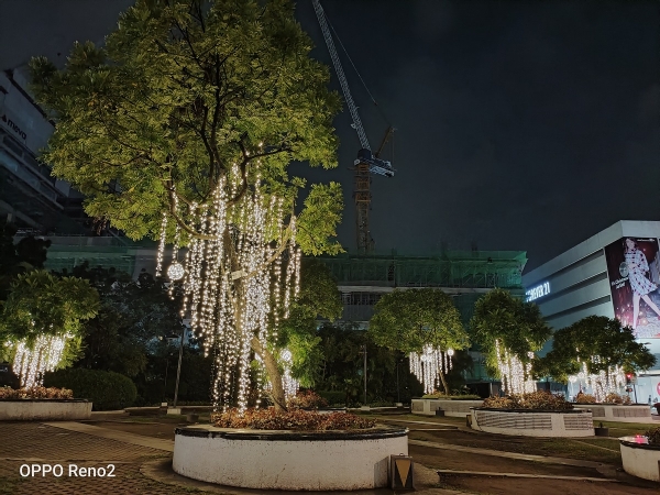 Trees with lights by OPPO Reno2 with Night mode.