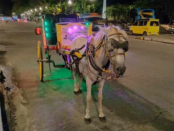 Realme-5i-sample-picture-night-mode-horse