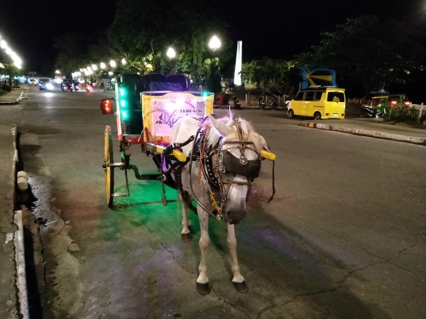 Horse carriage at night by Realme 5i.