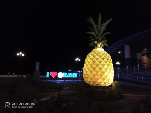 realme C11 sample picture (pineapple statue at night, auto)