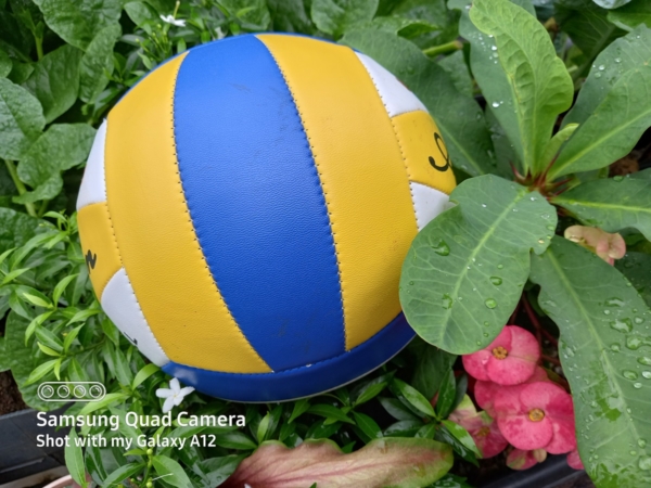 Samsung Galaxy A12 sample picture (auto).