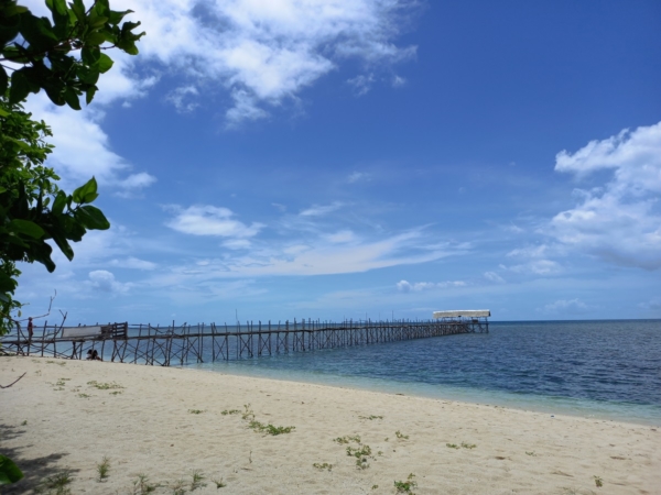 Samsung Galaxy A12 sample picture (main camera).