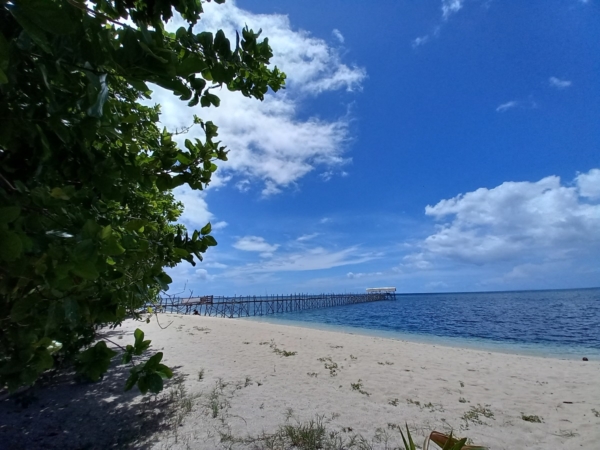 Samsung Galaxy A12 sample picture (ultra-wide camera).