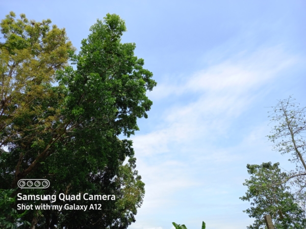 Samsung Galaxy A12 sample picture (no HDR).