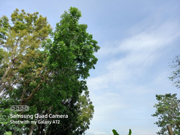 Samsung Galaxy A12 sample picture (with HDR).