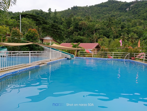 Swimming pool with trees in the background | realme narzo 50A
