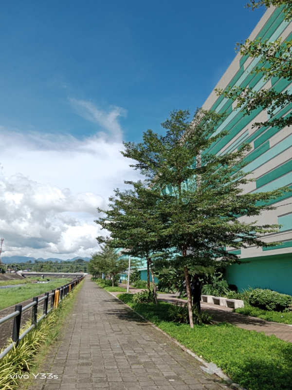 Walkway on a sunny day | vivo Y33s