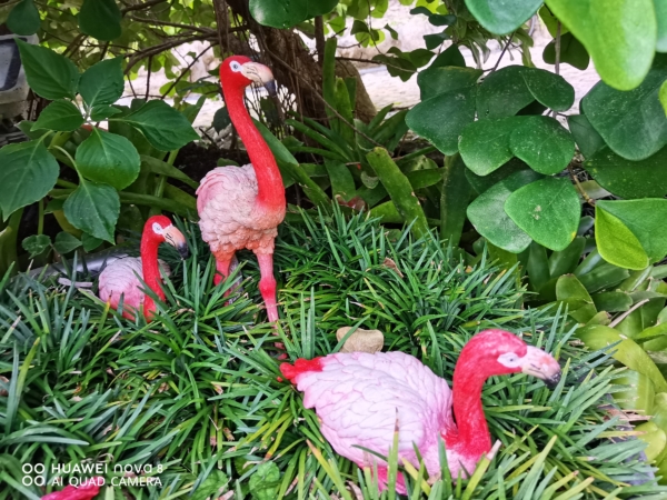 Bird figurines in the garden | Huawei nova 8