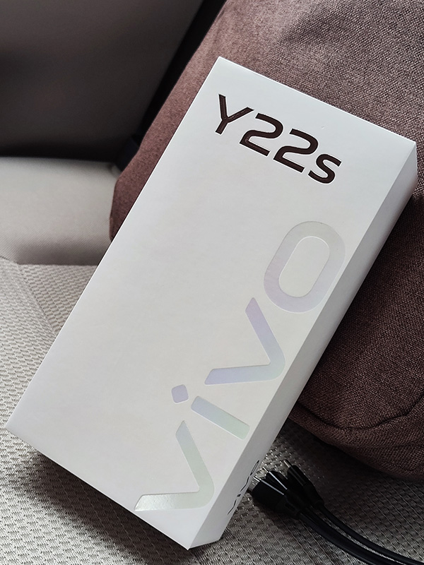 vivo Y22s box