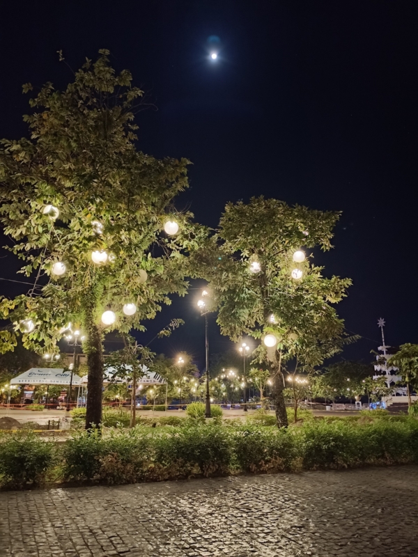 vivo V50 Lite 5G sample picture