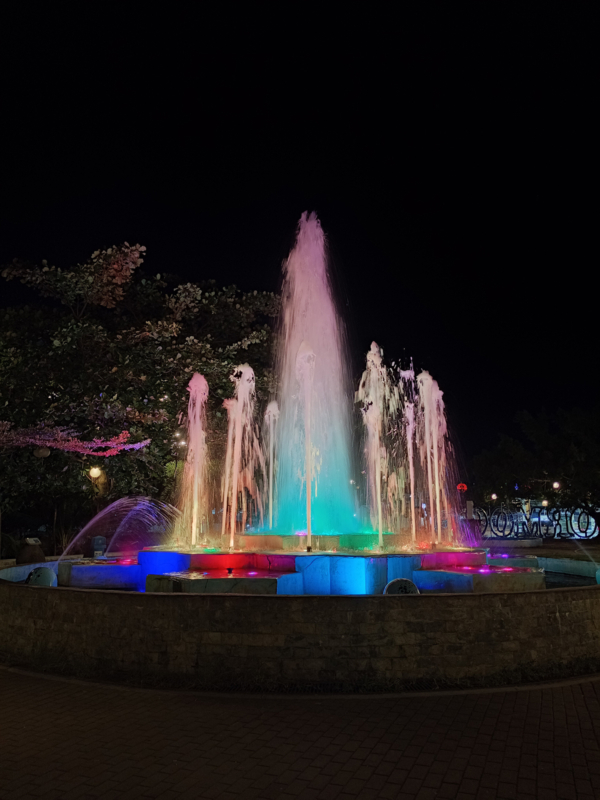 vivo V50 Lite 5G sample picture
