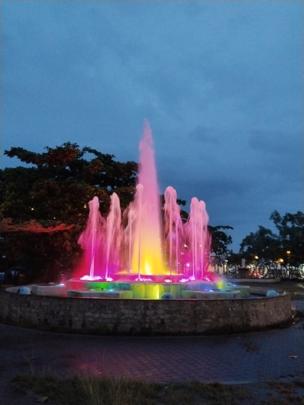 vivo Y29 sample picture