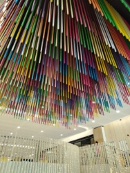 HONOR X7d sample picture