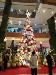 HONOR X7d sample picture