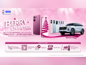vivo Berry Christmas PROMO