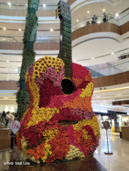 vivo V60 Lite sample picture