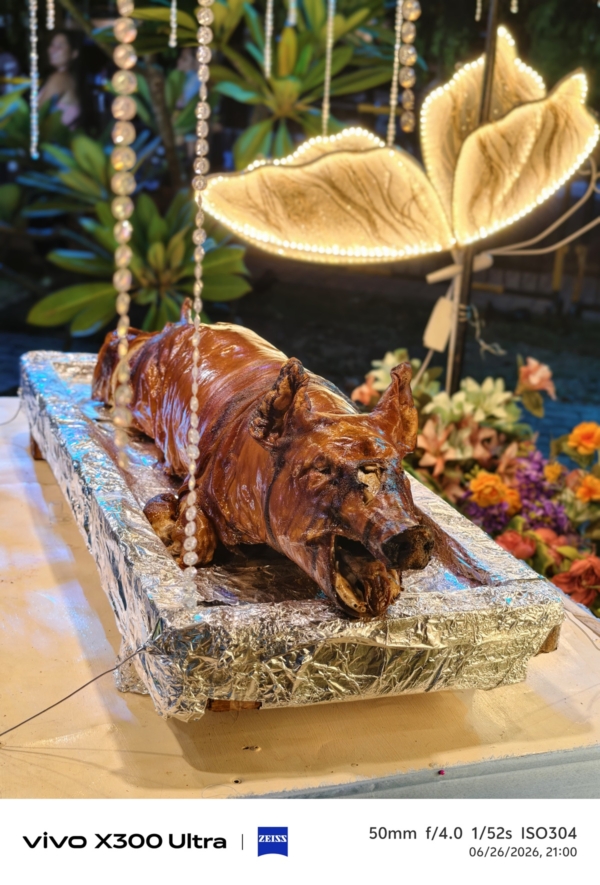 vivo-X300-Ultra-sample-picture-lechon
